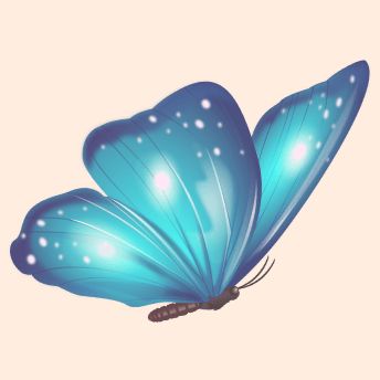 Blue Butterfly with Flora's Kiss, Adelaide Hills