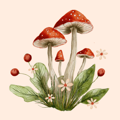 Mushrooms with Flora's Kiss, Adelaide Hills