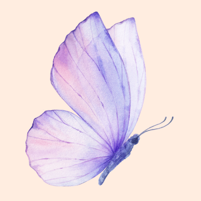 Lilac Butterfly with Flora's Kiss, Adelaide Hills