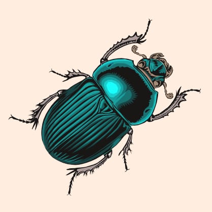 Green Christmas Beetle with Flora;s Kiss, Adelaide Hills